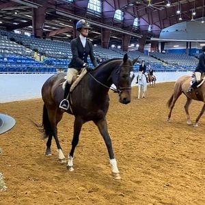 Meet your Posher, Grace